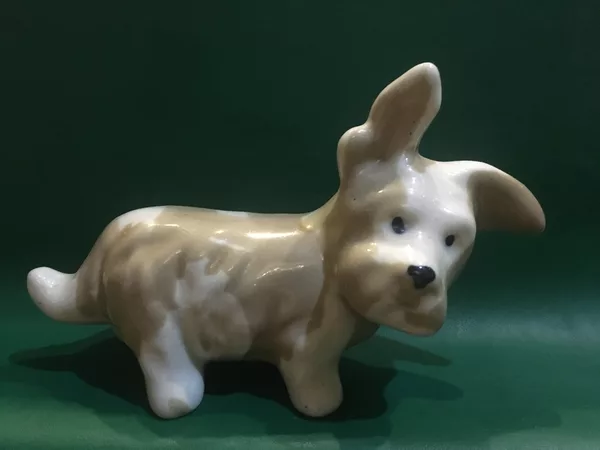 Собака