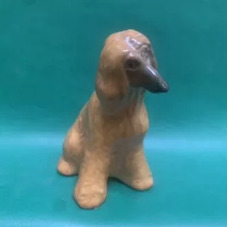Афганская борзая